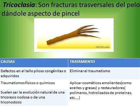 pelo ensortijado causas|Tricoclasia: causas, síntomas, diagnóstico y tratamientos